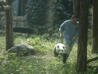 7.gif