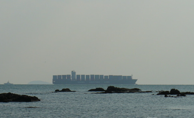 19.jpg