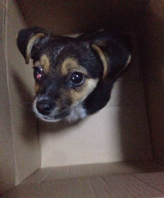 QQ截图20151116165645.png