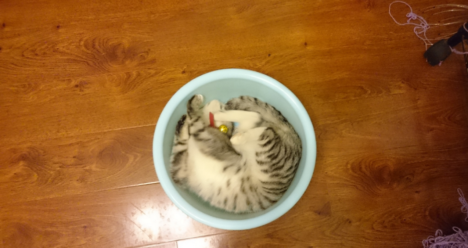 QQ图片20160124232610.png