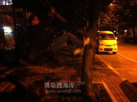 我的大女儿是个金毛，她预产期比我早一个月！