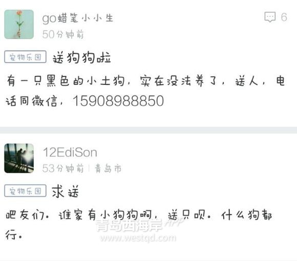 [宠物乐园]求送