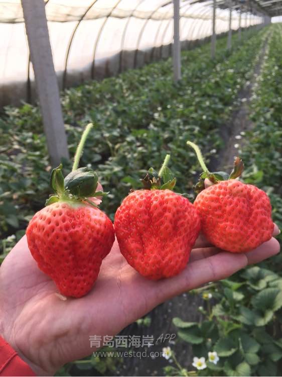 踏春出游 这个地方错过了我觉得怪可惜的。。。