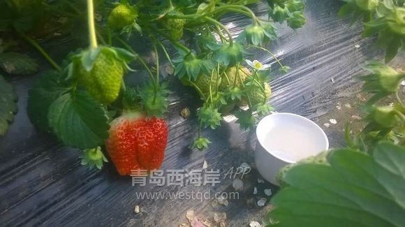 踏春出游 这个地方错过了我觉得怪可惜的。。。