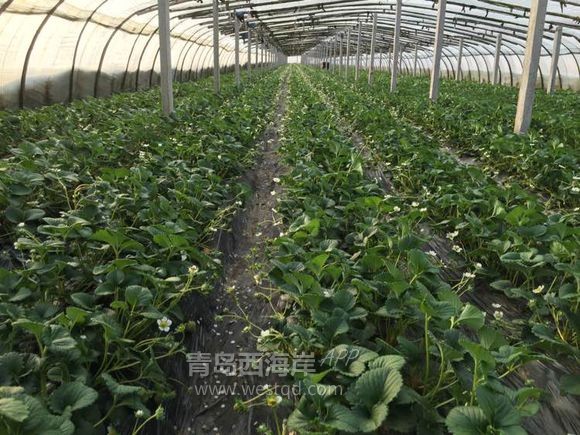 踏春出游 这个地方错过了我觉得怪可惜的。。。