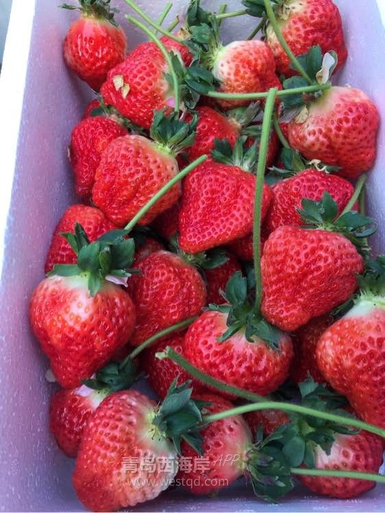 踏春出游 这个地方错过了我觉得怪可惜的。。。