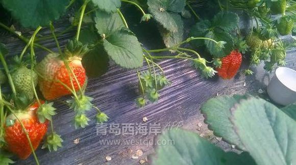 踏春出游 这个地方错过了我觉得怪可惜的。。。