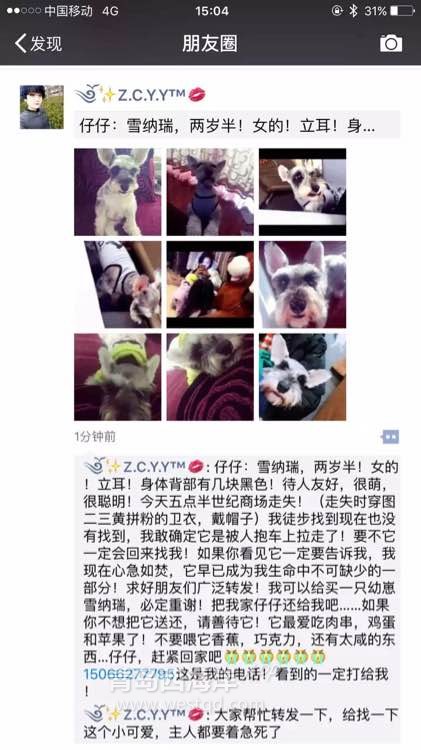 求助！！！  狗狗丢了！