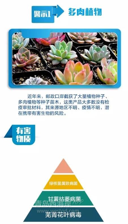 黄岛“海淘族”请当心！奶粉，美容针……都别乱买了！