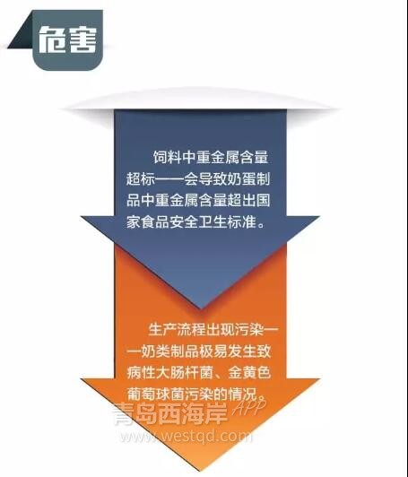 黄岛“海淘族”请当心！奶粉，美容针……都别乱买了！