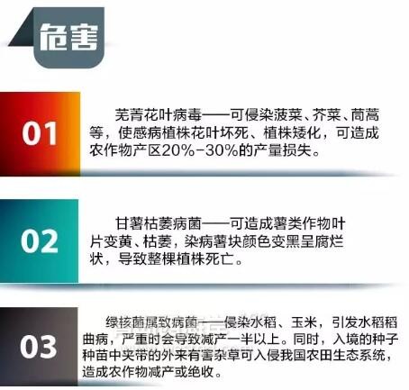 黄岛“海淘族”请当心！奶粉，美容针……都别乱买了！