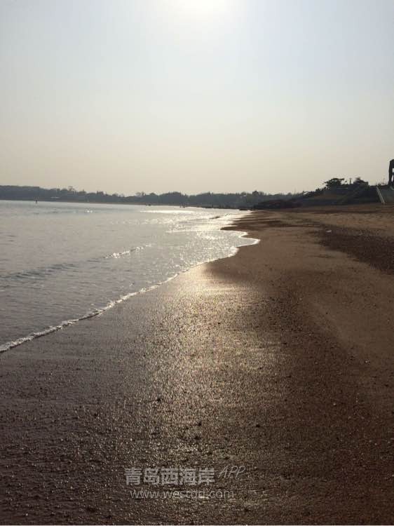 [生活杂谈]请教一下