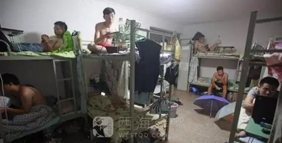 2016年度 新十大傻，你在内吗？