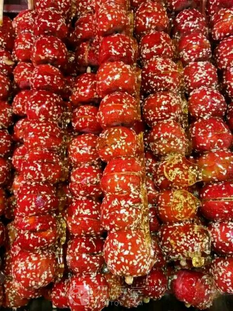 大专生下车间