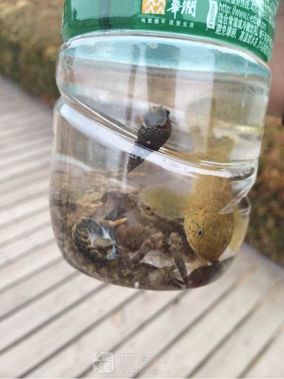 [同城交友]3号青岛下的火车，下午到的黄岛，玩了几天了，想找个工作，求推荐