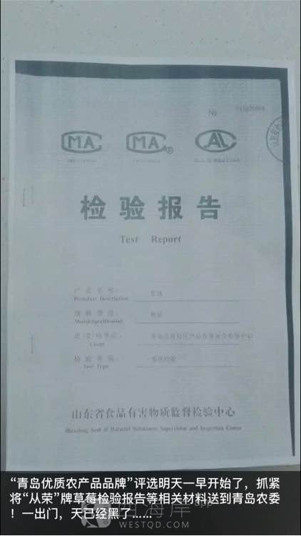 有木有小伙伴，一起去摘草莓啊，好喜欢吃。
