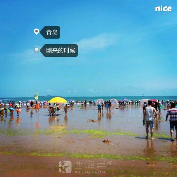 在黄岛还好吗