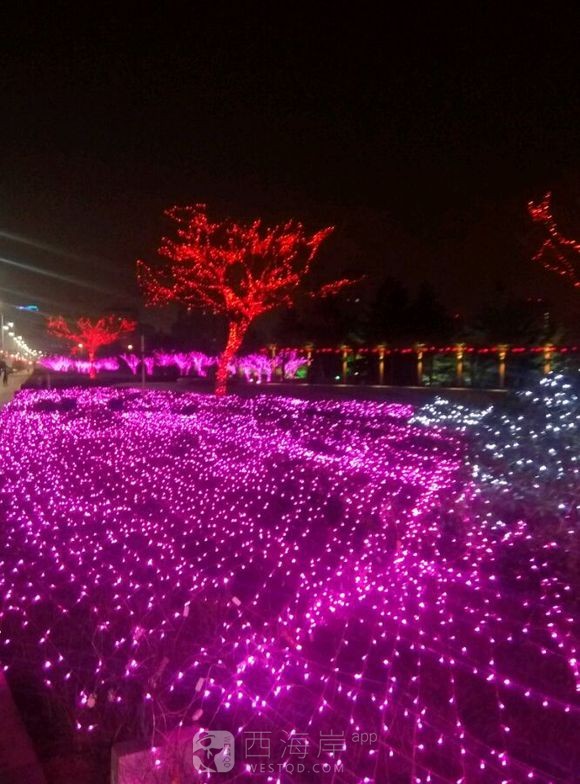 在黄岛还好吗