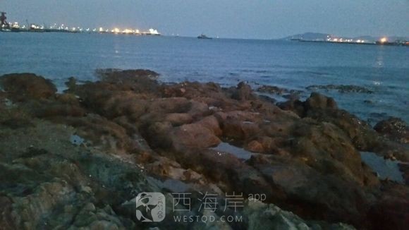走走看看