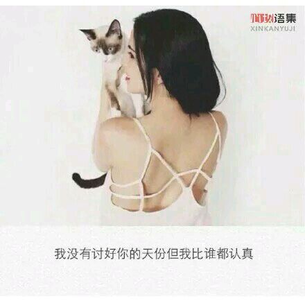 [生活杂谈]做我的英雄 在我的天空