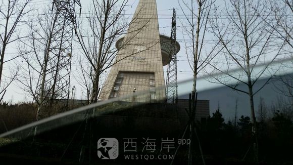 弱弱的问一句，我们黄岛哪里有卖小花盆、小盆栽花卉一类的