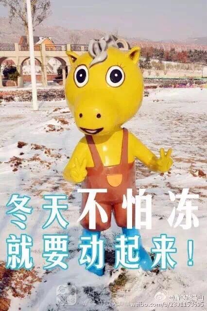过新年赶庙会逛小吃看马术玩雪上乐园和滑雪到胶南藏马山了！