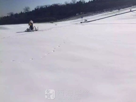 过新年赶庙会逛小吃看马术玩雪上乐园和滑雪到胶南藏马山了！