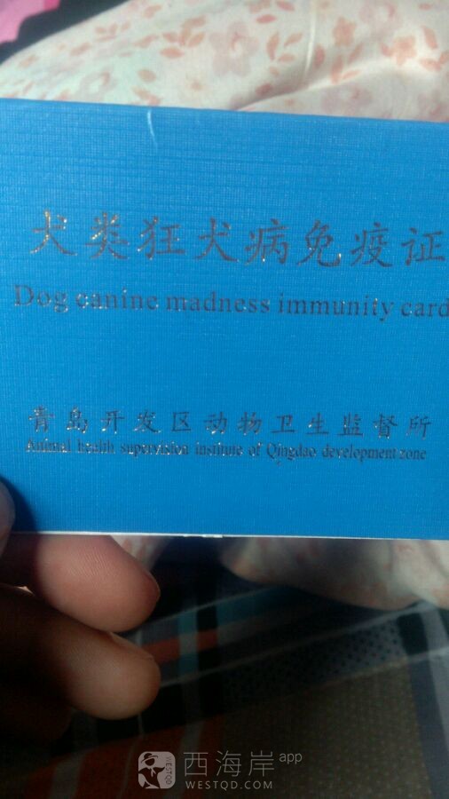 [宠物乐园]小虎，你的证掉了