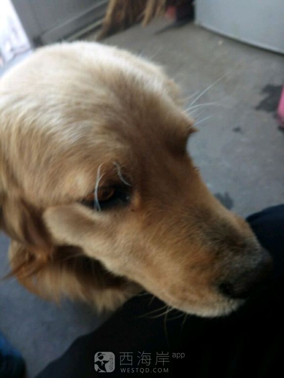 [生活杂谈]大平度帝国！