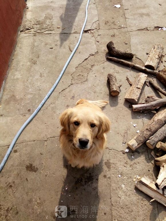 [生活杂谈]大平度帝国！