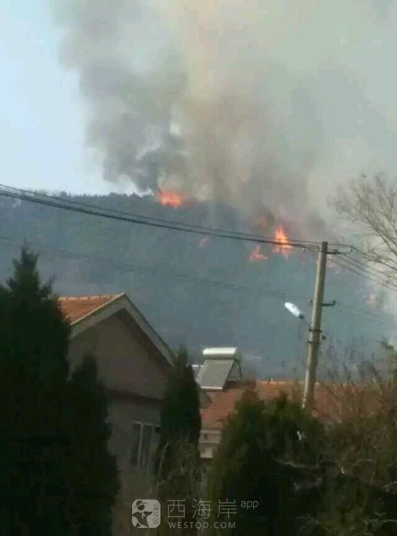 [生活杂谈]怕不怕，封路