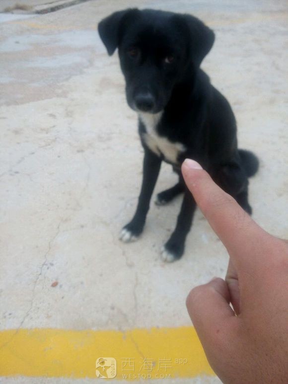 总是有人黑教练，说教练打人