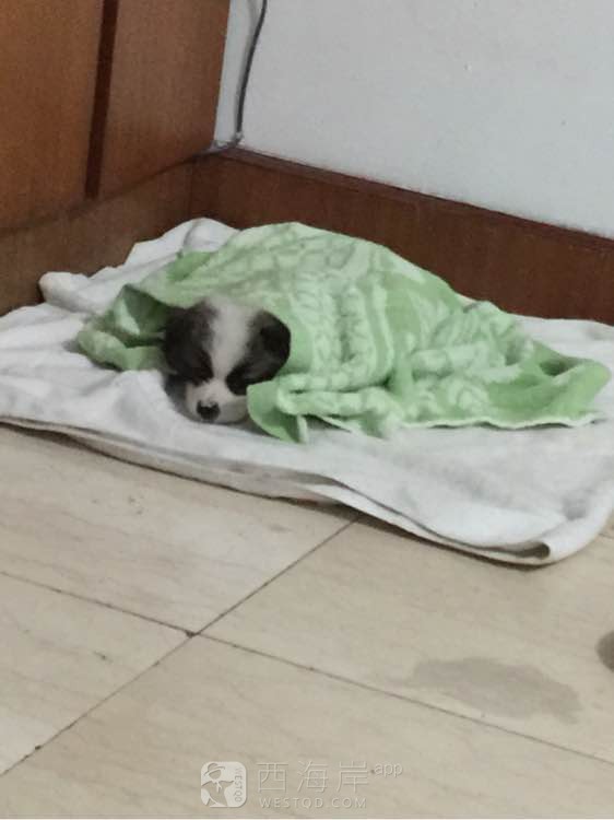 找个好心人