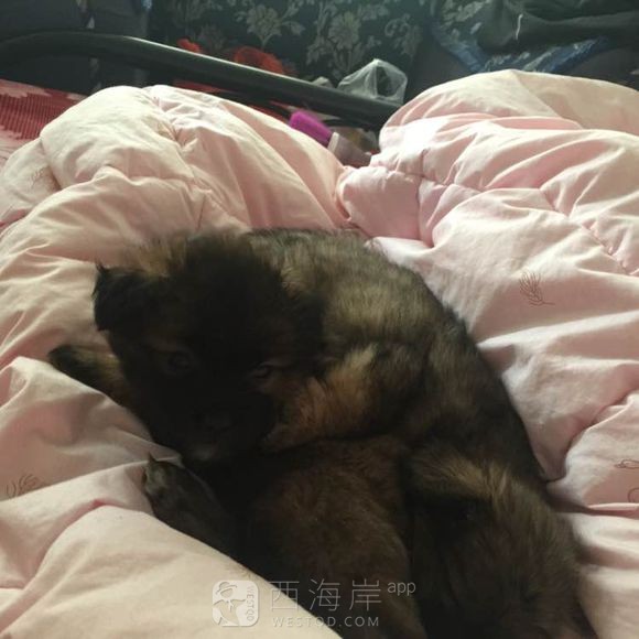 找个好心人