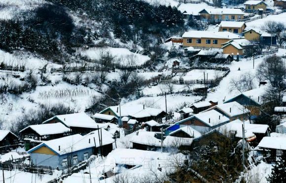 [旅游摄影]北国风光  水墨乡村（雪村松岭）