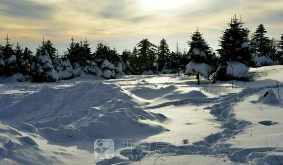 [旅游摄影]北国风光  水墨乡村（雪村松岭）