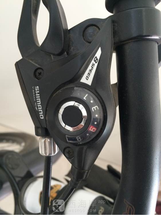 [车行天下]春天来了，有需要车子的吗