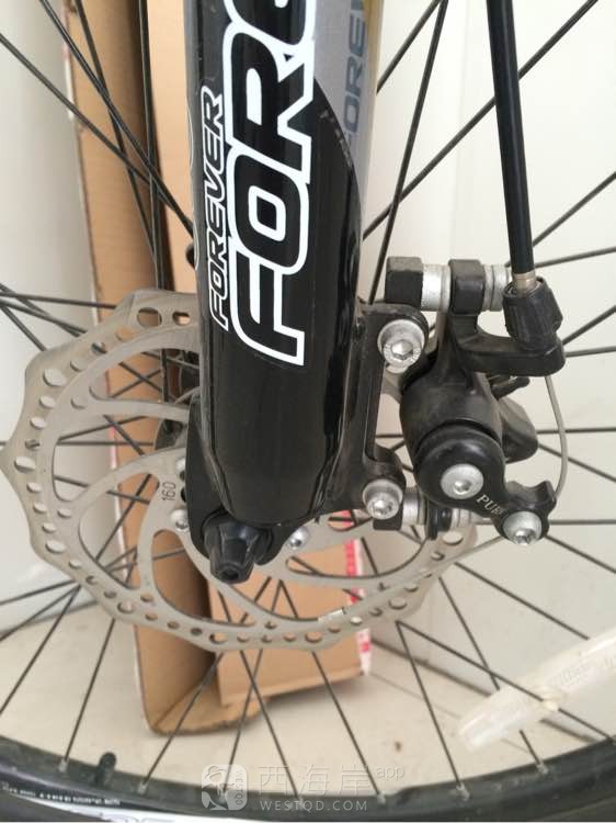 [车行天下]春天来了，有需要车子的吗