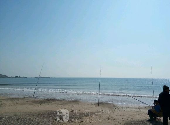 西环岛前沙滩发现搁浅海豚?