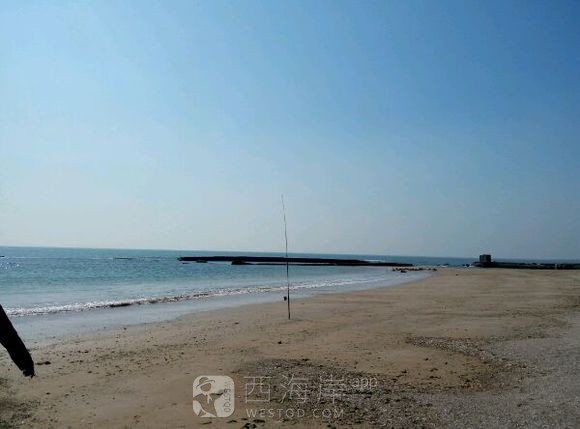 西环岛前沙滩发现搁浅海豚?