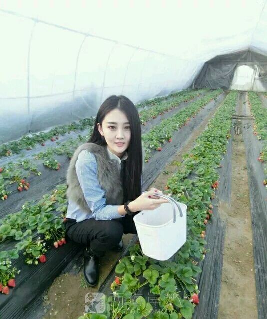 [生活杂谈]发现一款好玩的APP