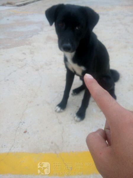 [生活杂谈]我就想问，吧里换了一茬领导，以后不搞聚会了么？！