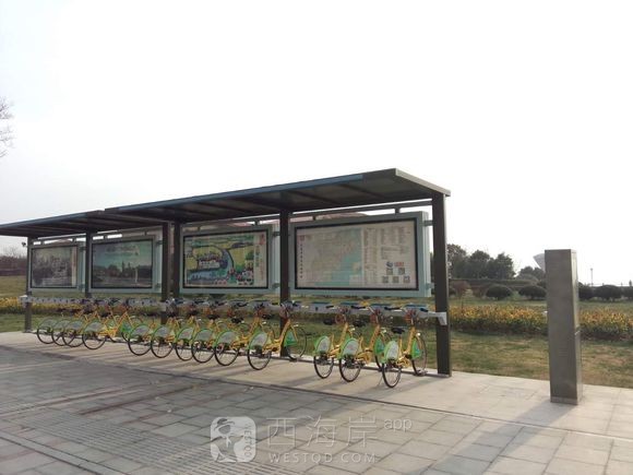 绿色出行、低碳环保