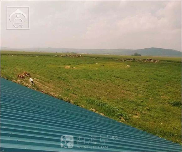 [生活杂谈]清真佳穆牛肉干