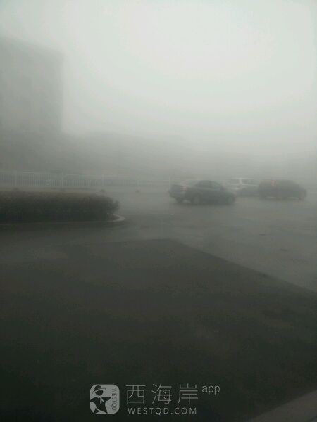 你是雾还是霾。