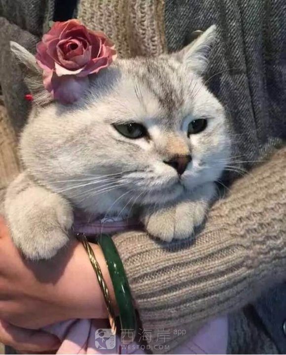 [生活杂谈]喜欢翡翠跟和田玉的，福利来了