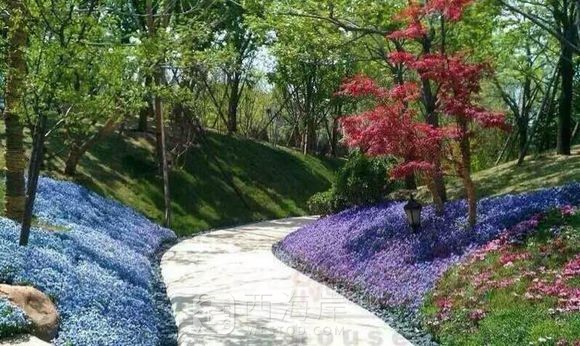 K2海棠湾小区打造高品质小区！