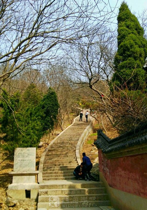 贴吧抢楼赢的票，琅琊台半日游