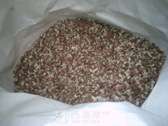 自己家养的狗狗有喜欢的吗？