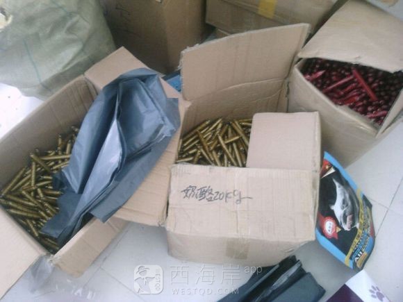自己家养的狗狗有喜欢的吗？